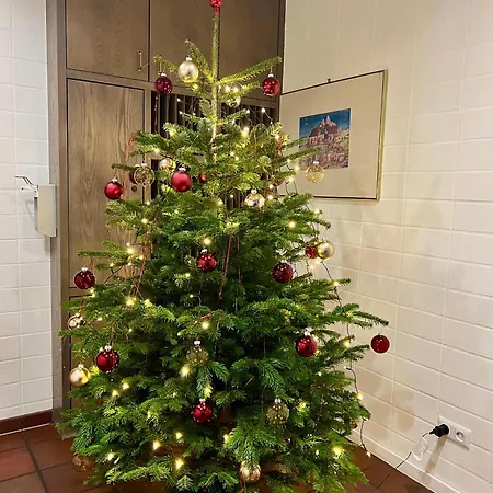 Haus Alexander Φρέχεν