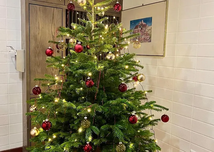 Haus Alexander Frechen